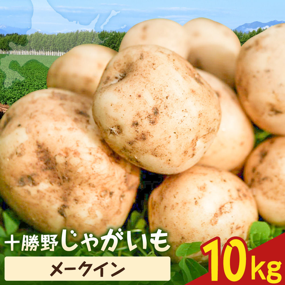 【2026年秋出荷】先行予約 十勝野じゃがいも メークイン 10kg 按田農場《2026年10月中旬-11月末頃出荷》北海道 豊頃町 十勝野 じゃがいも 農家直送 数量限定
