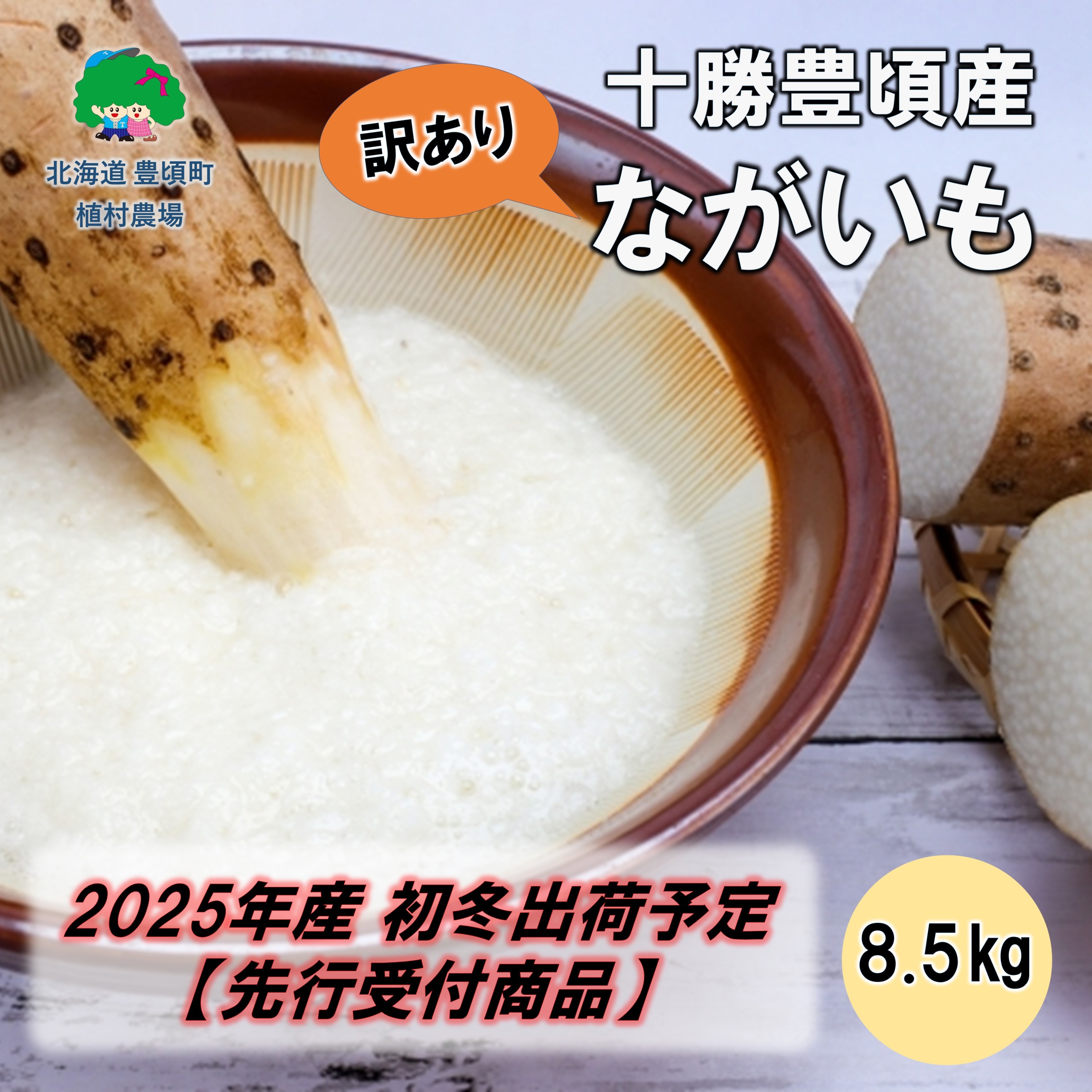 【訳あり】十勝豊頃産 ながいも8.5kg【2025年初冬出荷（先行受付）】【植村農場】