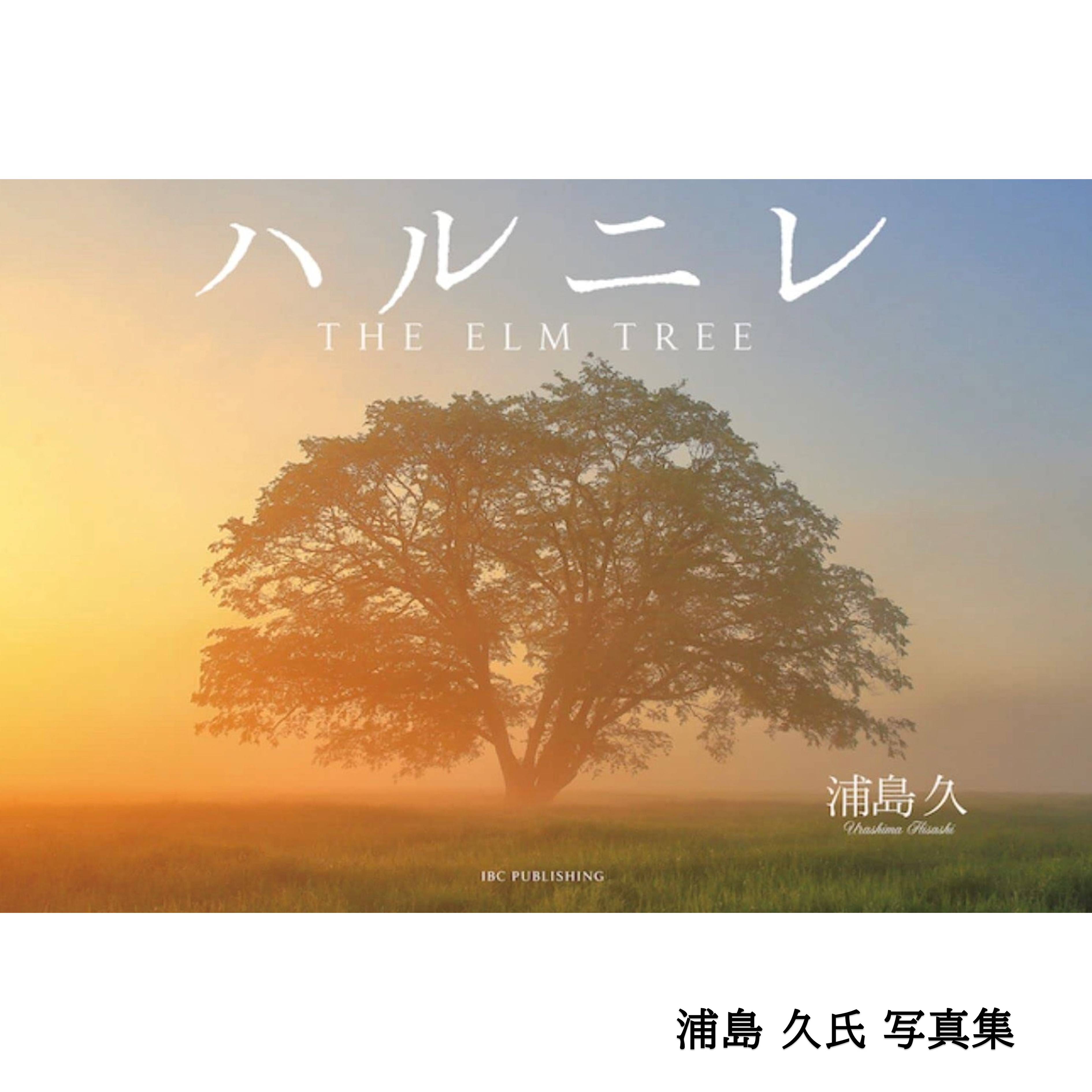 人生の幸せを日常に飾る ～アニバーサリーフォト撮影プラン～ 北海道 十勝 豊頃町 はるにれの木 結婚記念 成人記念 家族写真