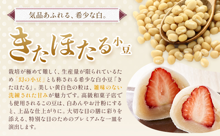 十勝とよころの小豆 紅白詰め合わせ えりも小豆 きたほたる小豆 800g×2種 山本農場《30日以内に出荷予定(土日祝除く)》北海道 豊頃町 小豆 あずき しょうず 詰め合わせ セット オリジナルレシピ本同封