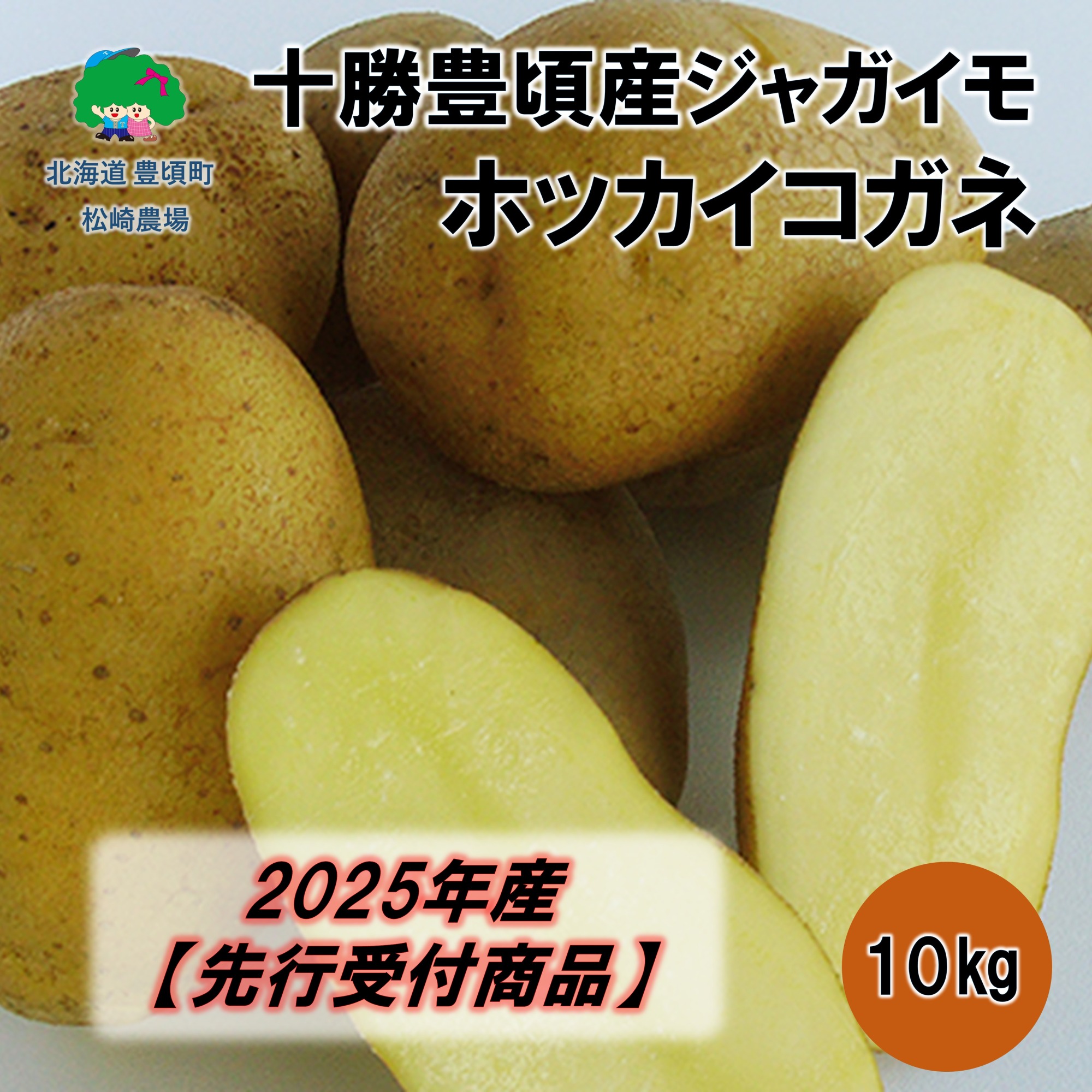 十勝豊頃産ジャガイモ 10kg（ホッカイコガネ）【2025年産】（先行受付）［松崎農場］