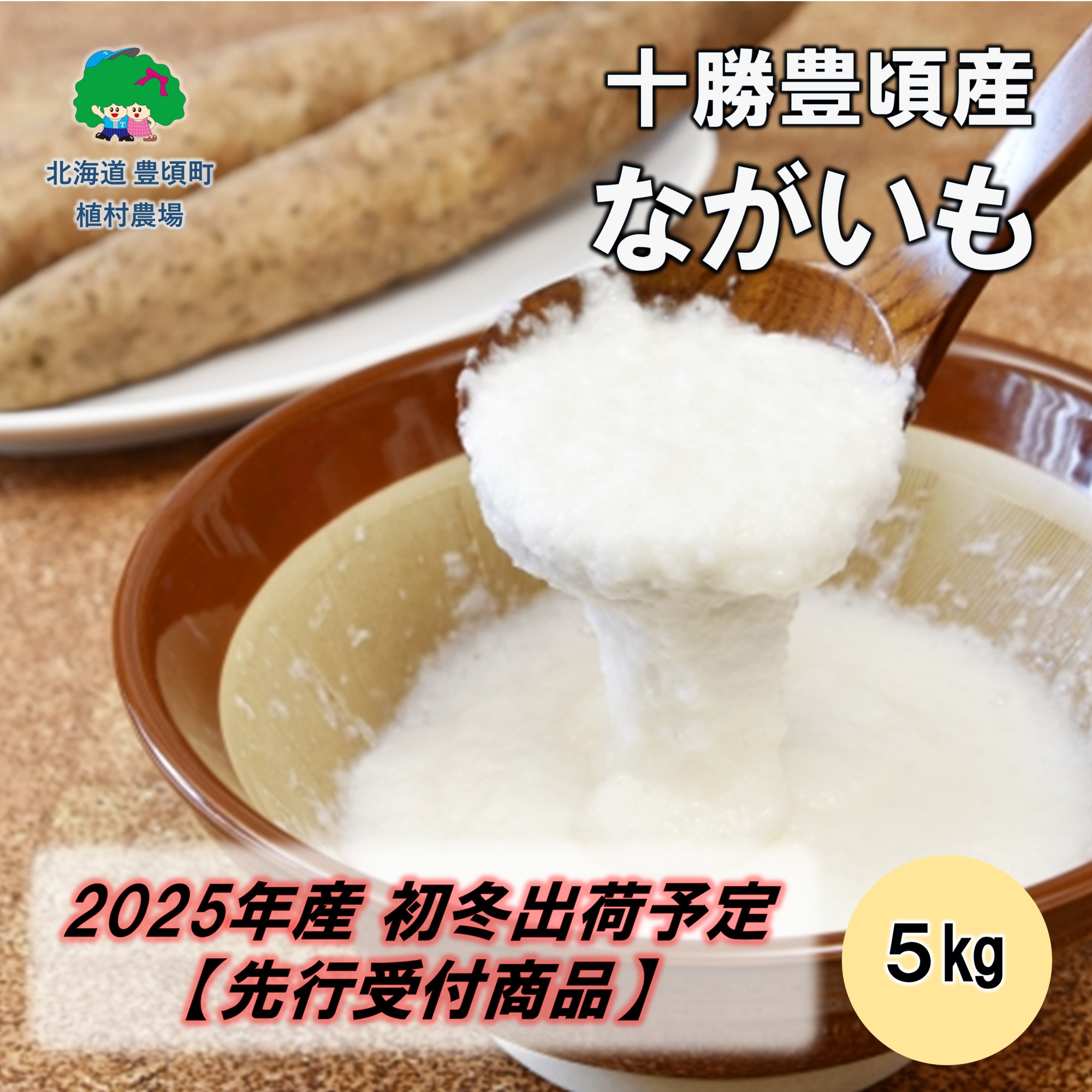 十勝豊頃産 ながいも5kg【2025年初冬出荷（先行受付）】【植村農場】