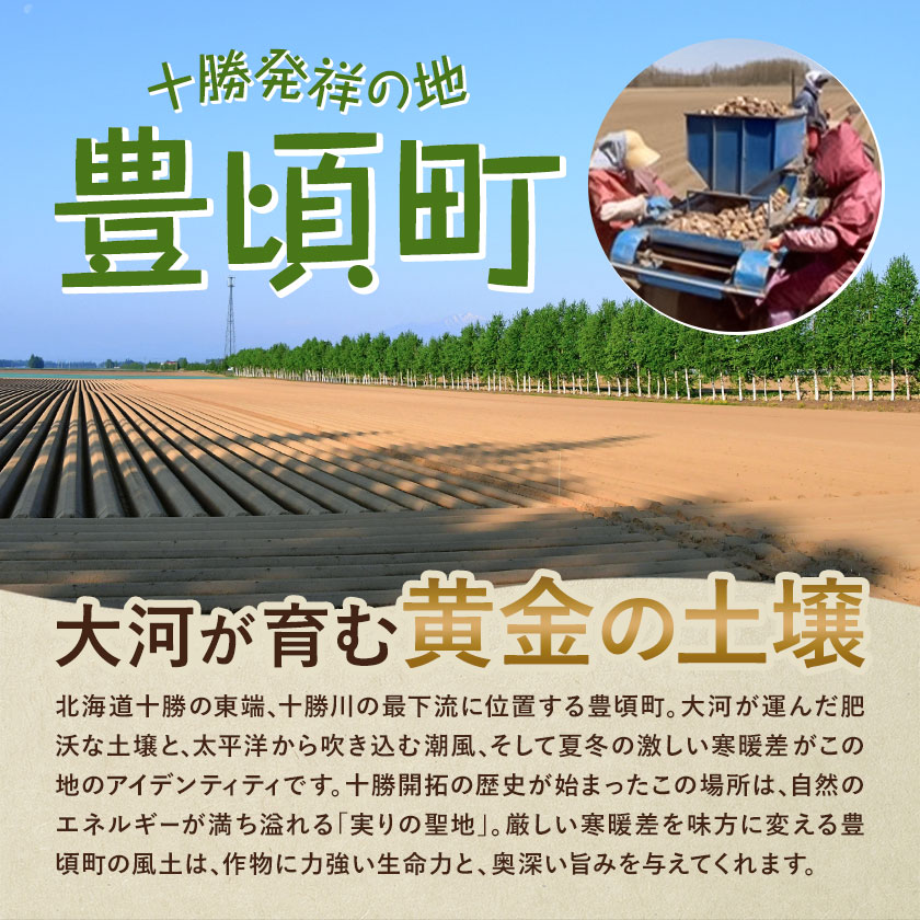 【2026年秋出荷】先行予約 十勝野じゃがいも メークイン 10kg 按田農場《2026年10月中旬-11月末頃出荷》北海道 豊頃町 十勝野 じゃがいも 農家直送 数量限定