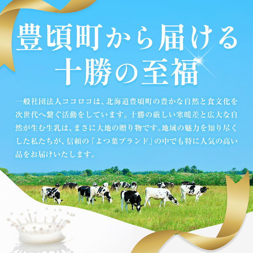 北海道 よつ葉 バター と チーズ の詰合せ A 《30日以内に出荷予定(土日祝除く)》北海道 十勝 豊頃町  特産 送料無料 よつ葉 数量限定 バター 北海道バター よつ葉バター