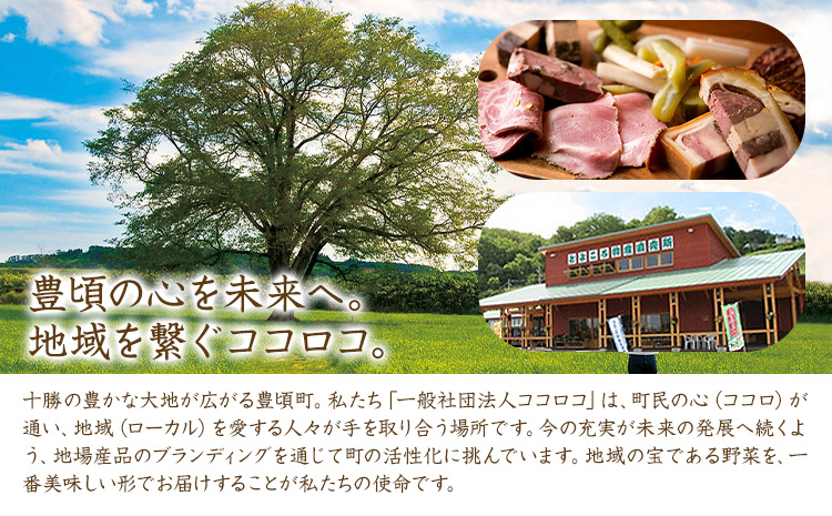 【乾燥野菜 シリーズ】 ごぼう ・ にんじん ギフト セット 北海道 十勝 豊頃町 特産 数量限定 送料無料 簡単レシピ 栄養価 長期保存《30日以内に出荷予定(土日祝除く)》
