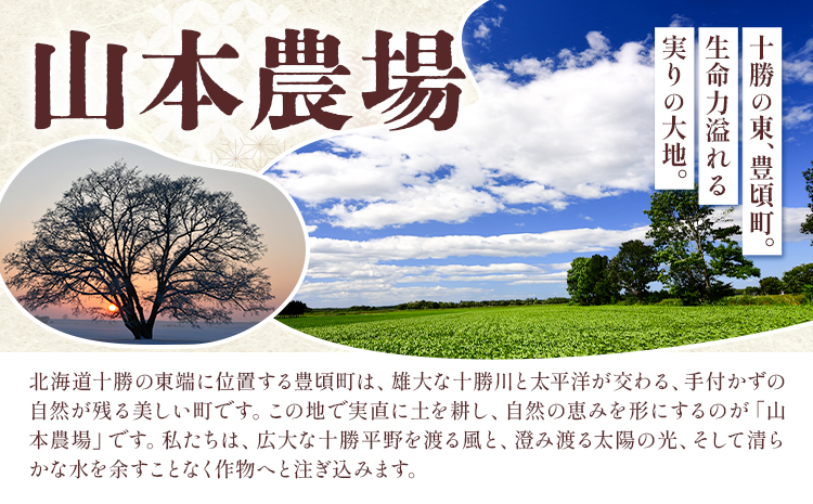 十勝とよころの小豆 紅白詰め合わせ えりも小豆 きたほたる小豆 800g×2種 山本農場《30日以内に出荷予定(土日祝除く)》北海道 豊頃町 小豆 あずき しょうず 詰め合わせ セット オリジナルレシピ本同封