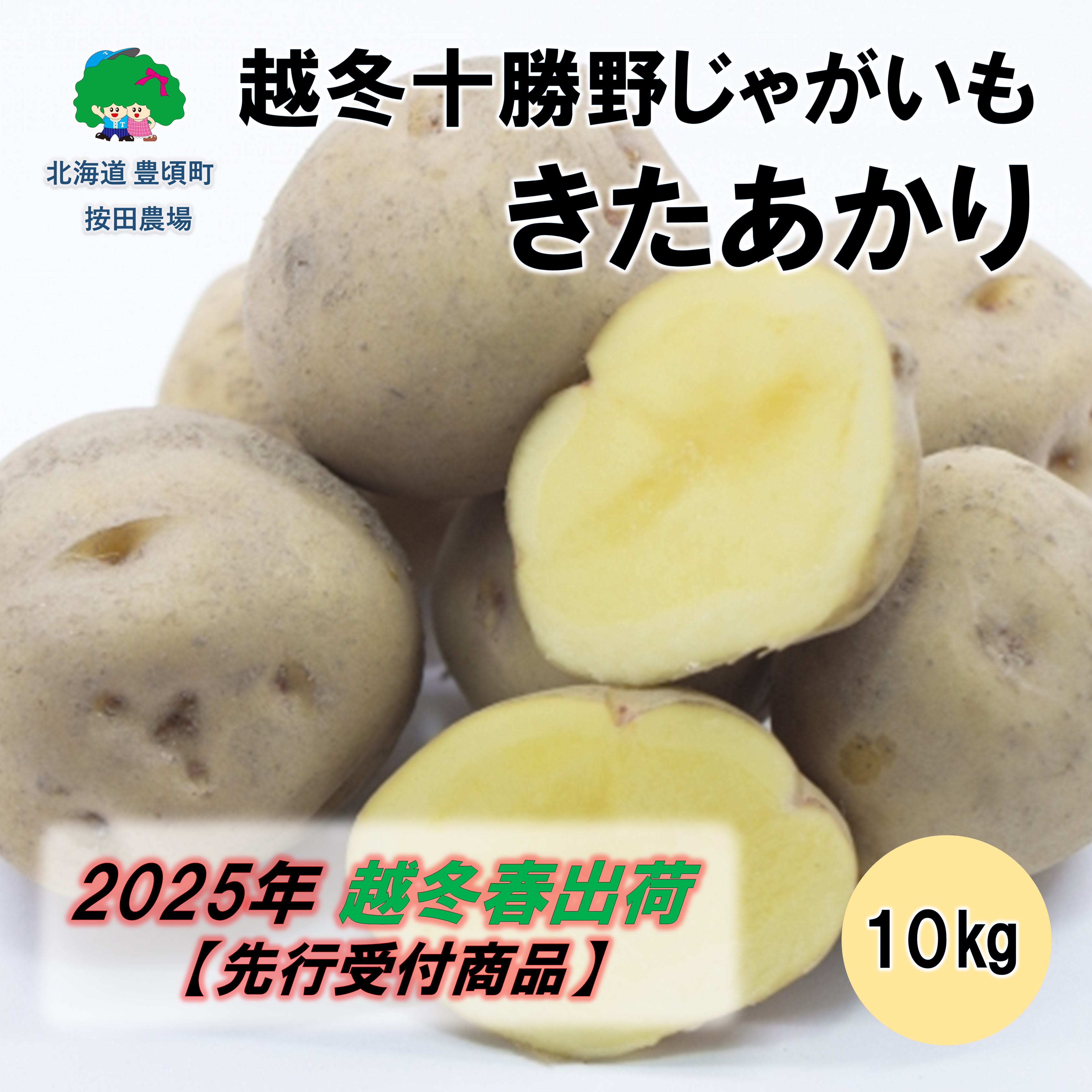 越冬十勝野じゃがいも きたあかり10kg【2025年春出荷】（先行受付）［按田農場］