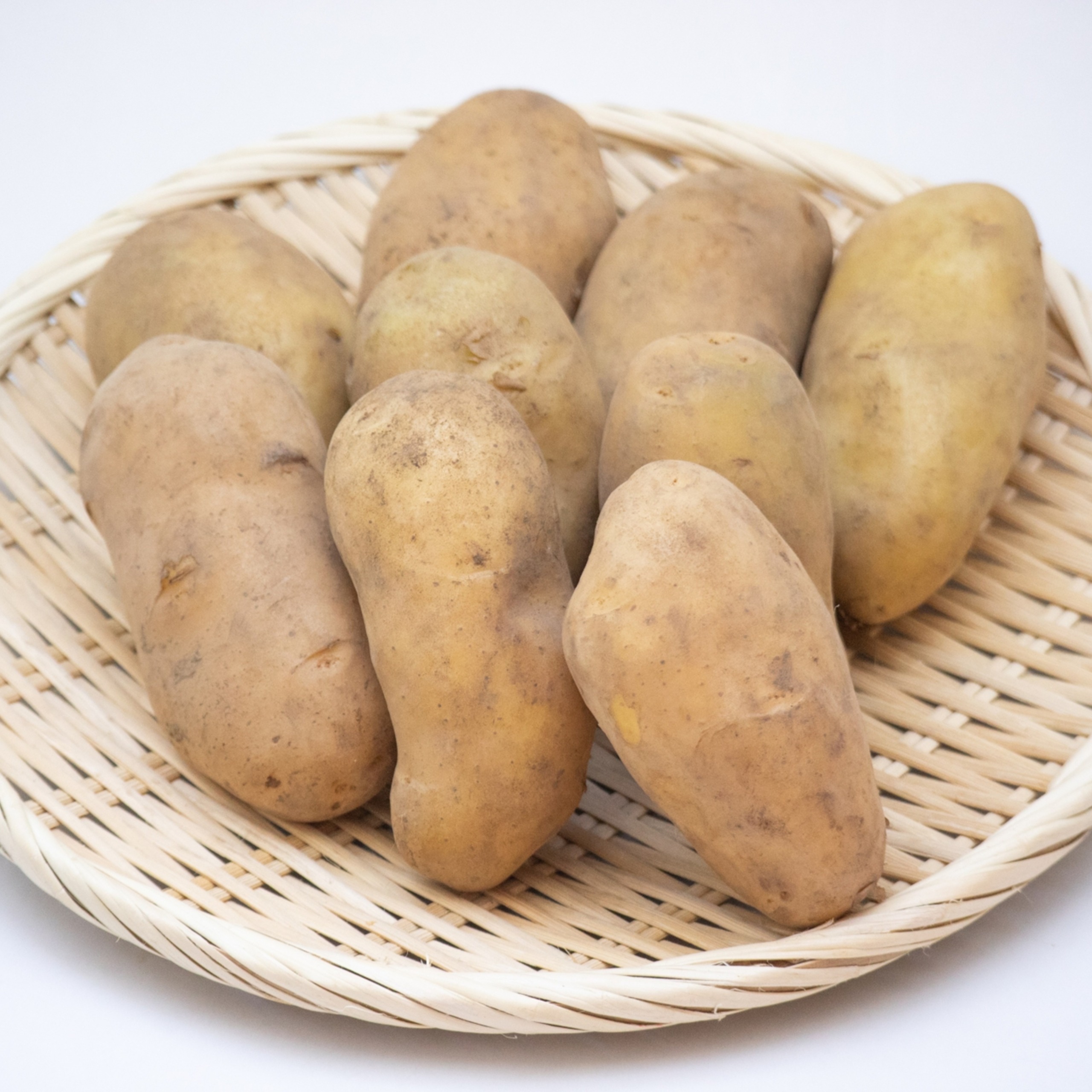 十勝野じゃがいも詰合せセット10kg（きたあかり・メークイン）【2026年秋出荷】（先行受付）［按田農場］