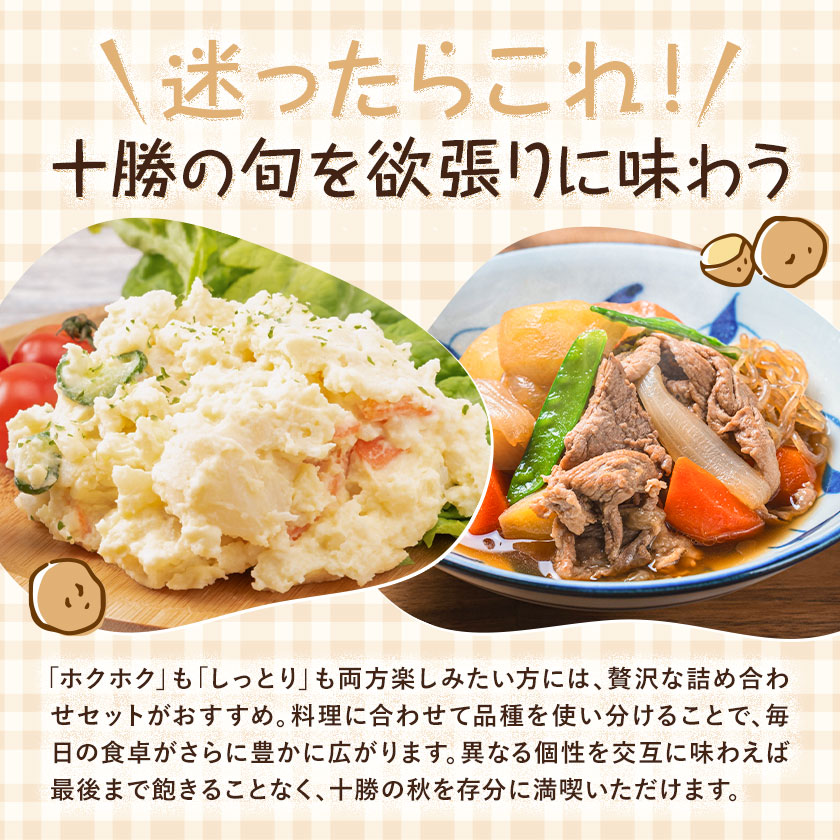 【2026年秋出荷】先行予約 十勝野じゃがいも 詰め合わせセット 10kg きたあかり メークイン 按田農場《2026年10月中旬-11月末頃出荷》北海道 豊頃町 十勝野 じゃがいも セット 農家直送 数量限定