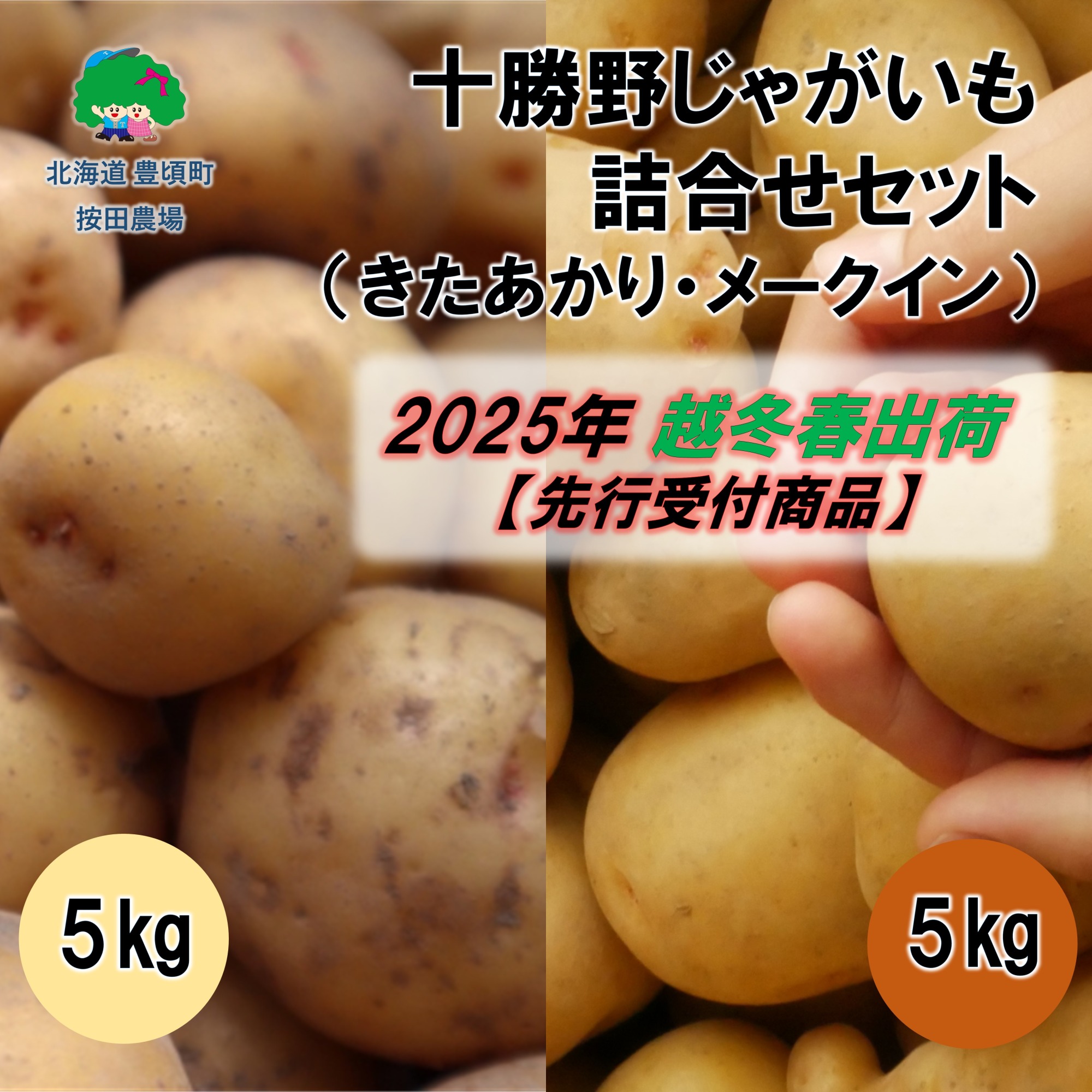 越冬十勝野じゃがいも 詰合せセット各5kg（きたあかり・メークイン）（先行受付）［按田農場］