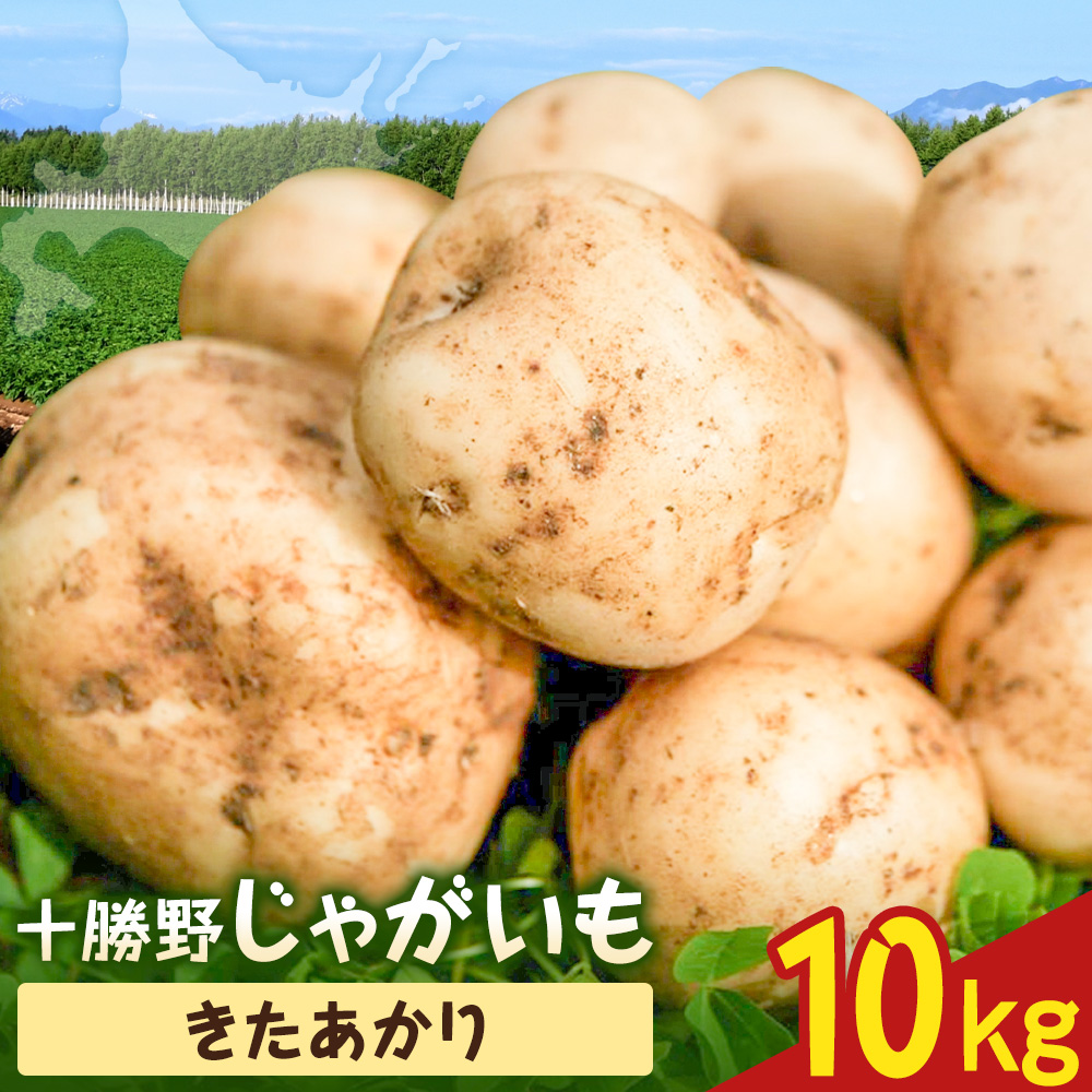 【2026年秋出荷】先行予約 十勝野じゃがいも きたあかり 10kg 按田農場《2026年10月中旬-11月末頃出荷》北海道 豊頃町 十勝野 じゃがいも 農家直送 数量限定
