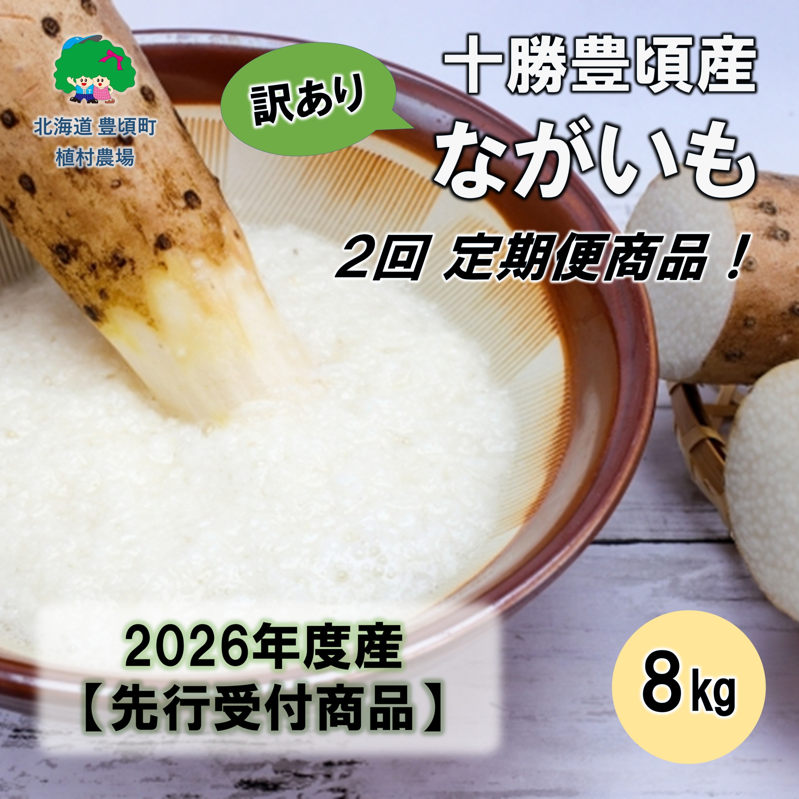 【訳あり】十勝豊頃産ながいも8.0kg 【2026年初冬出荷開始】【定期便2回 12月・2月発送】（先行受付）【植村農場】