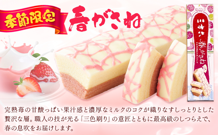 十勝スイーツ 柳月「三方六」詰合せ 春がさね（ さわやか 苺 ＆ ミルクリッチ ）セット プレーン 塩バター 計6本 本別町観光協会 《30日以内に出荷予定(土日祝除く)》 北海道 本別町 十勝 セット バウムクーヘン バームクーヘン スイーツ 贈り物 ギフト