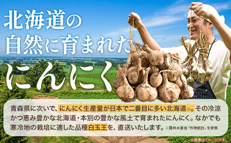 土付き にんにく 白玉王 1kg Lサイズ 本別町産 斎啓一 北海道 本別町【先行予約】《2025年8月上旬-9月末頃出荷》 送料無料 ニンニク ガーリック 乾燥にんにく スタミナ 野菜 1キロ