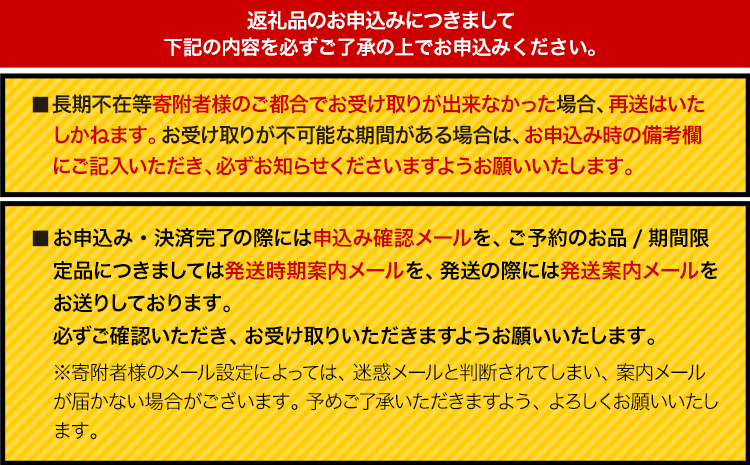 野の色を着る。温泉水・農業廃棄物で染色したショートスリーブＴシャツ AI yellow【サイズ：L】 合同会社nosome《90日以内に出荷予定(土日祝除く)》 送料無料 服 ファッション インナー ギフト レディース メンズ 北海道 本別町 染め 染色 草木染め