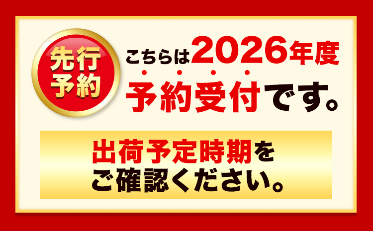【先行予約】 玉ねぎ たまねぎ 玉葱 約10kg サイズ混合《2026年10月上旬-11月上旬頃出荷》嶋崎農園 送料無料 北海道 本別町 北海道 十勝 本別町産 オニオン カレー サラダ スープ 野菜