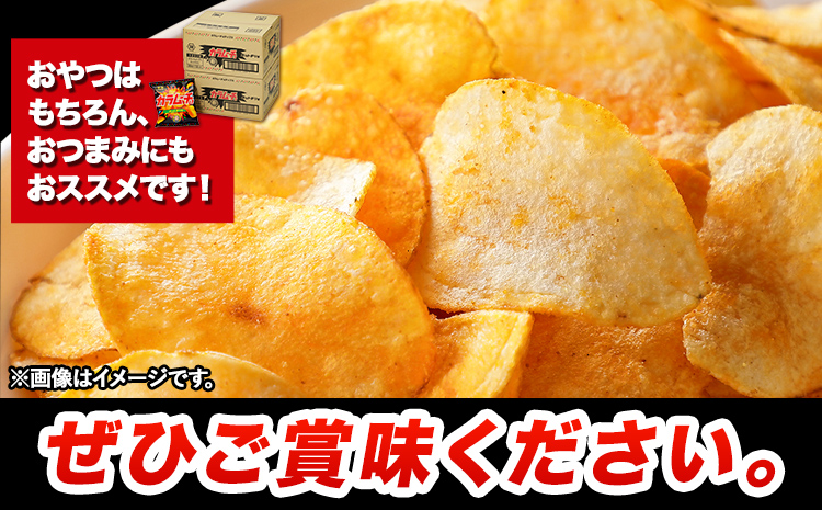 本別産原料使用!コイケヤ カラムーチョチップスホットチリ味 12袋 本別町観光協会 《60日以内に出荷予定(土日祝除く)》北海道 本別町 ポテト ポテトチップス 菓子 スナック スナック菓子 ホットチリ 送料無料