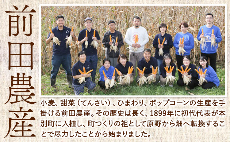 パン用小麦粉 キタノカオリ 北海道十勝 前田農産 10kg 1kg×10袋 有限会社 十勝太陽ファーム 送料無料 北海道 本別町《60日以内に出荷予定(土日祝除く)》