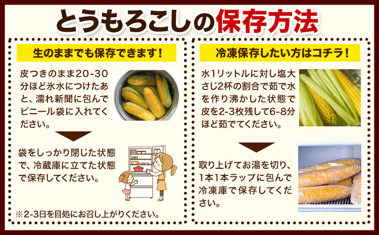 朝採りとうもろこし スーパースィート 「ゴールドラッシュ」 訳あり ご家庭用 12本 《8月上旬-8月末頃出荷》嶋崎農園 送料無料 北海道 本別町北海道 十勝 本別町産 スーパースイート トウモロコシ 一番果 冷蔵便 甘い