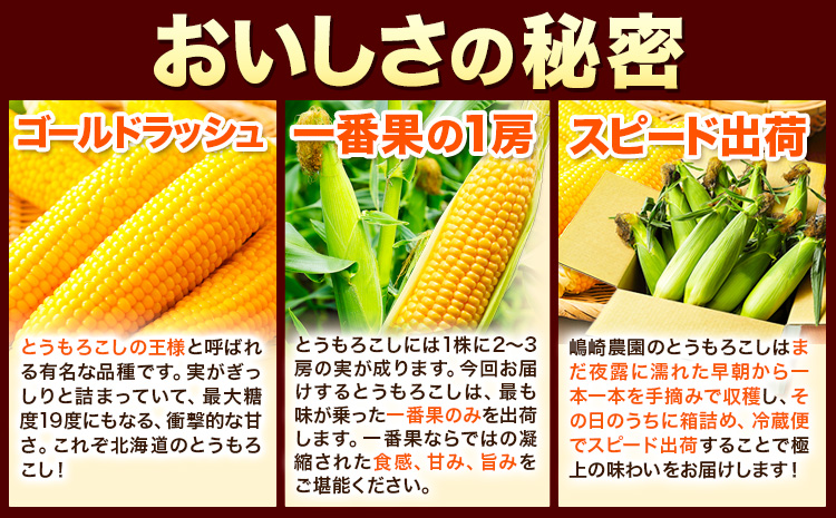 朝採りとうもろこし スーパースィート 「ゴールドラッシュ」 訳あり ご家庭用 12本 《8月上旬-8月末頃出荷》嶋崎農園 送料無料 北海道 本別町北海道 十勝 本別町産 スーパースイート トウモロコシ 一番果 冷蔵便 甘い
