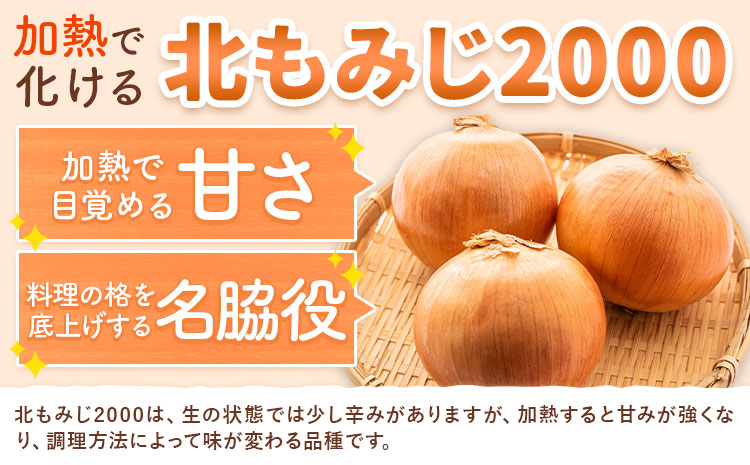 【先行予約】 玉ねぎ たまねぎ 玉葱 約10kg サイズ混合《2026年10月上旬-11月上旬頃出荷》嶋崎農園 送料無料 北海道 本別町 北海道 十勝 本別町産 オニオン カレー サラダ スープ 野菜