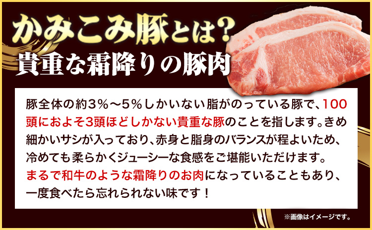 「かみこみ豚」豚丼セット 6パック(900g)篠原精肉店《60日以内に出荷予定(土日祝除く)》北海道 本別町 豚 肉 豚丼 かみこみ丼 丼 どんぶり 送料無料