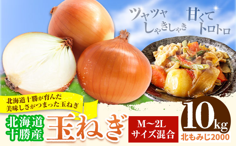 玉ねぎ 10kg 北もみじ2000 山下農場《9月中旬-10月末頃出荷》 北海道 本別町 たまねぎ タマネギ 万能 北海道産