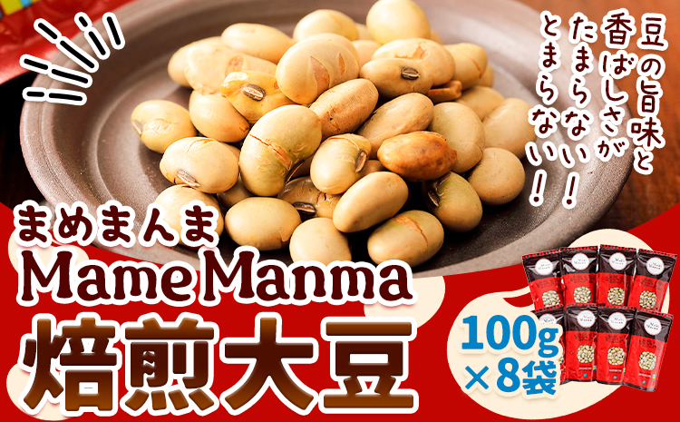 北海道おつまみセット 「MameManma焙煎大豆」(100g×8袋) 本別町農業協同組合 送料無料 北海道 本別町《60日以内に出荷予定(土日祝除く)》まめまんま 豆 大豆 焙煎大豆 まめ おつまみ 節分 豆まき