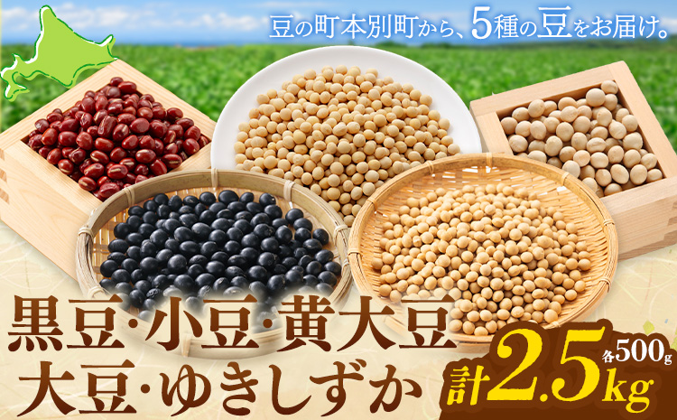 本別 豆 セット 各500g 5種類 2.5kg 特定非営利活動法人 銀河ほんべつ《30日以内に出荷予定(土日祝除く)》大豆 黒豆 小豆 ゆきしずか 黄大豆