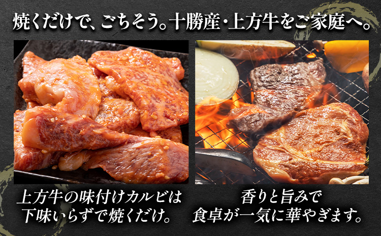 ååç£ é»æ¯åç äžæ¹ç å³ä»ãã«ã«ã 500g äžæ¹ç§å Žã30æ¥ä»¥å
ã«åºè·äºå®(忥ç¥é€ã)ãåæµ·é æ¬å¥çº è éæç¡æ ã«ã«ã å³ä»ã çŒè æ£è