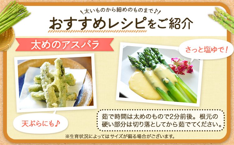 åæµ·éåå é²å°æ œå¹ ææ¡ãçŽéãå£ç¯éå®ïŒææ¡ãã¢ã¹ãã© 2.1kgã æ¬å¥çºç£ æ¬å¥çºèŸ²æ¥ååçµå éæç¡æ å
è¡äºçŽ åæµ·é æ¬å¥çº ã¢ã¹ãã©ã¬ã¹ æ¥ éè æ¬ é²å° ç£å°çŽé ã°ãªãŒã³ã¢ã¹ãã©ã¬ã¹ã5æäžæ¬-6æäžæ¬é åºè·ã