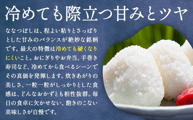 邀ウ 莉、蜥8蟷エ逕」 縺ェ縺ェ縺、縺シ縺 5kg 闍・譛ィ繝輔ぃ繝シ繝 縲11譛井ク頑流莉・髯埼谺。蜃コ闕キ縲句圏豬キ驕 譛ャ蛻・逕コ 邀ウ 縺顔アウ 逋ス邀ウ 邊セ邀ウ 2026蟷エ 莠育エ 蛹玲オキ驕鍋肇 蜊∝享 譛ャ蛻・逕コ逕」 迚ケA 逕」蝨ー逶エ騾