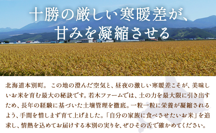 米 令和8年産 ゆめぴりか 5kg 若木ファーム 《11月上旬以降順次出荷》北海道 本別町 米 お米 白米 精米 2026年 予約 北海道産 十勝 本別町産 特A 産地直送