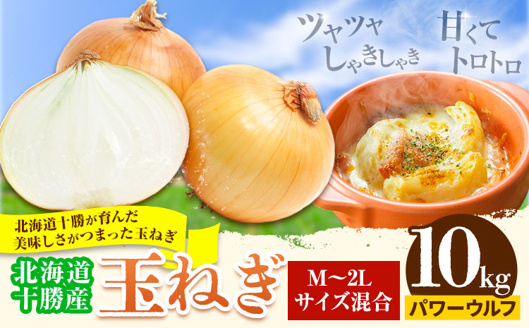 玉ねぎ 10kg パワーウルフ 山下農場《9月中旬-10月末頃出荷》 北海道 本別町 たまねぎ タマネギ 万能 北海道産