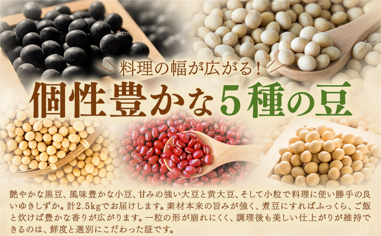 本別 豆 セット 各500g 5種類 2.5kg 特定非営利活動法人 銀河ほんべつ《30日以内に出荷予定(土日祝除く)》大豆 黒豆 小豆 ゆきしずか 黄大豆