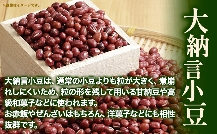 令和5年度産 北海道十勝本別町産 大納言小豆4kg 《60日以内に出荷予定(土日祝除く)》本別町農業協同組合 送料無料