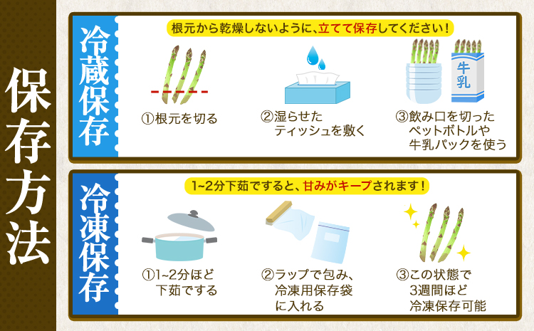  北海道十勝 露地栽培 朝採り直送「季節限定！朝採りアスパラ 1.2kg」 本別町産 本別町農業協同組合 送料無料 先行予約 北海道 本別町 アスパラガス 春 野菜 旬 露地 産地直送 グリーンアスパラガス《5月中旬-6月中旬頃出荷》