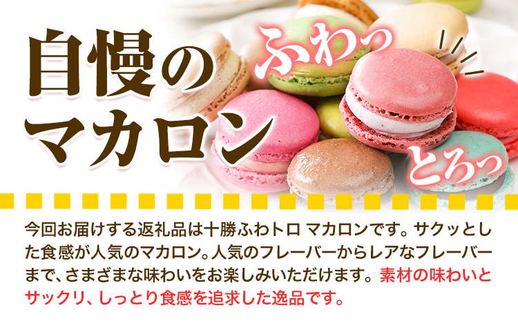 マカロン アソートタイプ 12個入り 欧風ケーキ工房 かねもり 《45日以内に出荷予定(土日祝除く)》 北海道 本別町 送料無料 スイーツ デザート 洋菓子 お菓子 全15種 ランダム