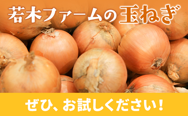 玉ねぎ たまねぎ 玉葱 約5kg サイズ混合《12月上旬から4月下旬より順次出荷》若木ファーム 送料無料 北海道 本別町 北海道 十勝 本別町産 オニオン シチュー ポトフ スープ 炒め物 野菜