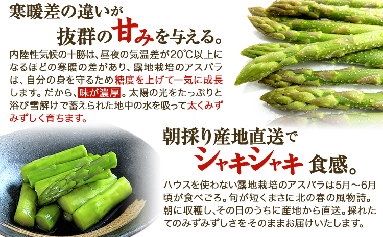 åæµ·éåå é²å°æ œå¹ ææ¡ãçŽéãå£ç¯éå®ïŒææ¡ãã¢ã¹ãã© 2.1kgã æ¬å¥çºç£ æ¬å¥çºèŸ²æ¥ååçµå éæç¡æ å
è¡äºçŽ åæµ·é æ¬å¥çº ã¢ã¹ãã©ã¬ã¹ æ¥ éè æ¬ é²å° ç£å°çŽé ã°ãªãŒã³ã¢ã¹ãã©ã¬ã¹ã5æäžæ¬-6æäžæ¬é åºè·ã