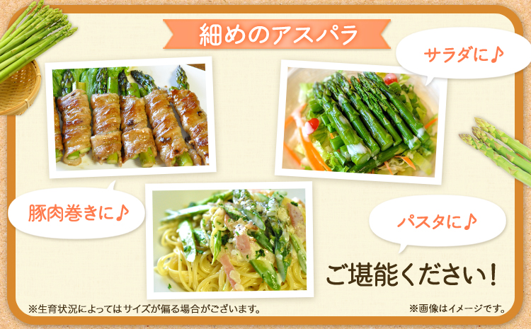 åæµ·éåå é²å°æ œå¹ ææ¡ãçŽéãå£ç¯éå®ïŒææ¡ãã¢ã¹ãã© 1.2kgã æ¬å¥çºç£ æ¬å¥çºèŸ²æ¥ååçµå éæç¡æ å
è¡äºçŽ åæµ·é æ¬å¥çº ã¢ã¹ãã©ã¬ã¹ æ¥ éè æ¬ é²å° ç£å°çŽé ã°ãªãŒã³ã¢ã¹ãã©ã¬ã¹ã5æäžæ¬-6æäžæ¬é åºè·ã