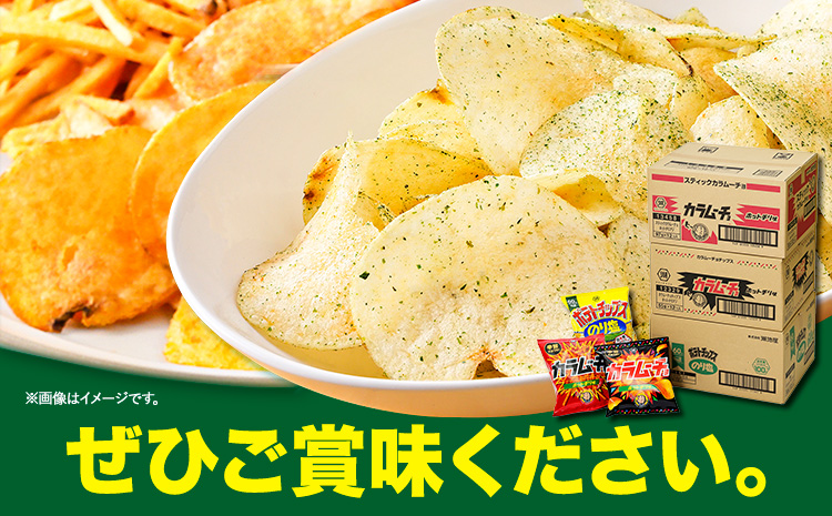 湖池屋 「のり塩・カラムーチョセット」(各12袋×1箱) 本別町観光協会 送料無料《60日以内に出荷予定(土日祝除く)》北海道 本別町 ポテト ポテトチップス 菓子 スナック スナック菓子 食べ比べ