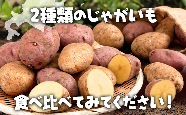 紅白じゃがいも 北海こがね レッドムーン 計5kg 若林農場《30営業日以内に発送予定(土日祝除く)》 送料無料 北海道 本別町 じゃがいも いも 芋 詰め合わせ