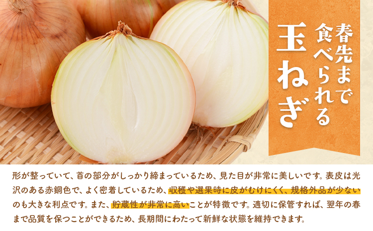 玉ねぎ たまねぎ 玉葱 約5kg サイズ混合《12月上旬から4月下旬より順次出荷》若木ファーム 送料無料 北海道 本別町 北海道 十勝 本別町産 オニオン シチュー ポトフ スープ 炒め物 野菜