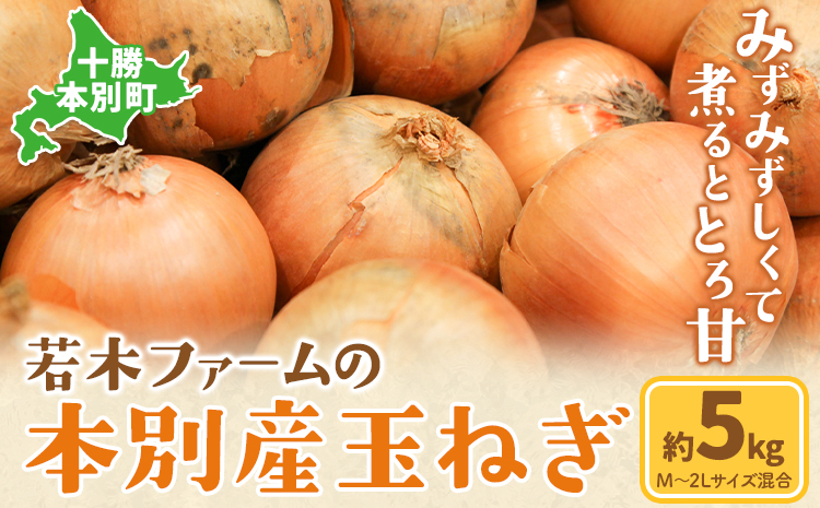 玉ねぎ たまねぎ 玉葱 約5kg サイズ混合《12月上旬から4月下旬より順次出荷》若木ファーム 送料無料 北海道 本別町 北海道 十勝 本別町産 オニオン シチュー ポトフ スープ 炒め物 野菜