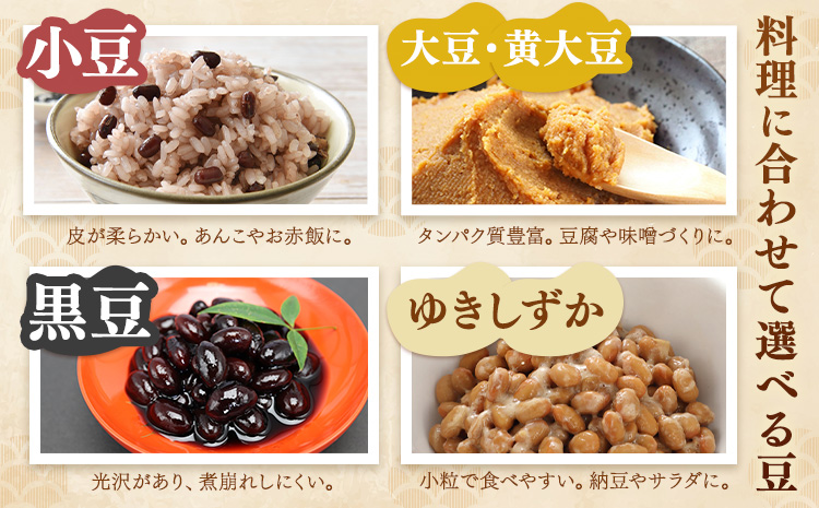 本別 豆 セット 各500g 5種類 2.5kg 特定非営利活動法人 銀河ほんべつ《30日以内に出荷予定(土日祝除く)》大豆 黒豆 小豆 ゆきしずか 黄大豆