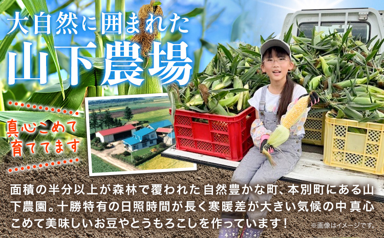 【先行予約】朝採り とうもろこし ビーナスコーン スイートコーン 10本 《8月上旬-8月末頃出荷予定》山下農場 バイカラー 大粒 コーン