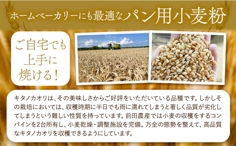 パン用小麦粉 キタノカオリ 北海道十勝 前田農産 5kg 1kg×5袋 有限会社 十勝太陽ファーム 送料無料 北海道 本別町《60日以内に出荷予定(土日祝除く)》