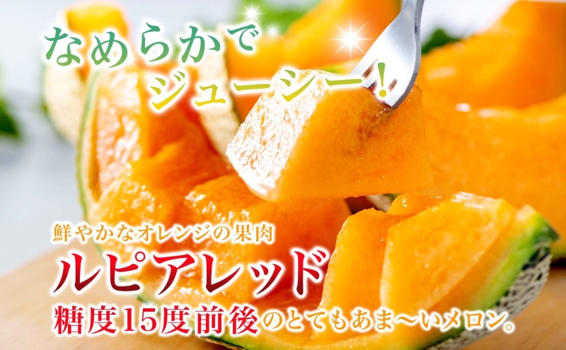 北海道 十勝 あしょろ銀河メロン 赤肉 1.5kg 2玉 ルピアレッド メロン 果物 フルーツ 旬 季節 甘い 国産 十勝産 デザート ご褒美 産地直送 グルメ お取り寄せ ギフト お祝い 贈答品 贈り物 送料無料 足寄