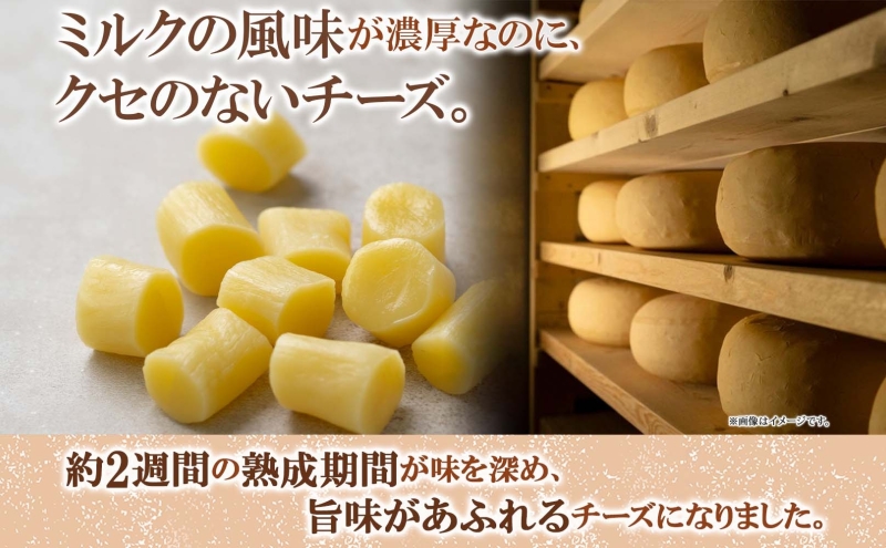 北海道 熟モッツァレラ ころ 250g×2袋 チーズ ひとくちサイズ 小分け モッツァレラ 生乳 ミルク 熟成 とろける 十勝チーズ おつまみ あしょろチーズ工房 送料無料